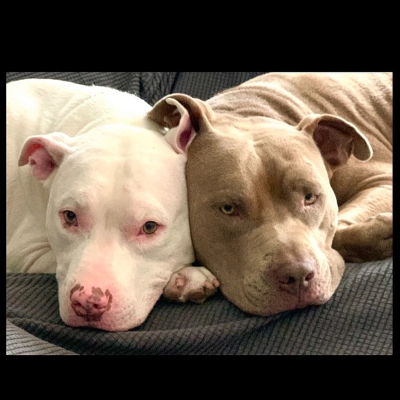 Meet your Posher, Carolina - Picture 11 of 11